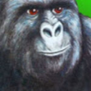 Meet your Posher, Tony